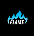 fire logo vector image