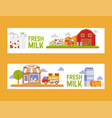 dairy products cheese and drinking milk farm vector image