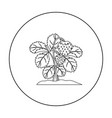 strawberry icon outline single plant from vector image