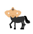 centaur fairytale creature man horse isolated vector image