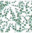eucalyptus seamless pattern in rustic style vector image