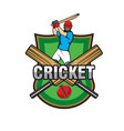 cricket game team league icon with bats and ball vector image vector image