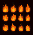 graphic flames isolated vector image vector image