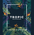 tropical poster with frame vector image