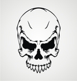 skulls vector image
