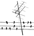 with silhouette of birds vector image vector image