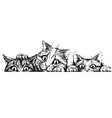 cats wall sticker vector image vector image