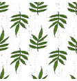 color seamless pattern of marigold leaves vector image vector image