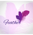 feather abstract background vector image