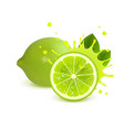 juicy whole lime and half vector image vector image