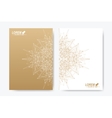 modern template for brochure leaflet vector image