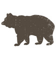 bear silhouette with scratched grunge effect vector image