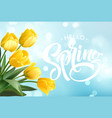 hello spring hand lettering with tulip flower vector image vector image