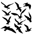 flying birds black silhouettes set vector image