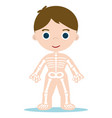 kid bones vector image vector image