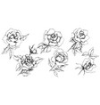 rose flower in a style isolated vector image
