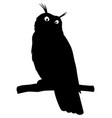 owl sitting on a branch black sign vector image vector image