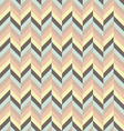 spunky herringbone vector image