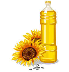 Sunflower oil realistic splash Royalty Free Vector Image