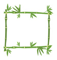 bamboo frame vector image