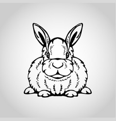 rabbit isolated on white background vector image