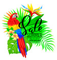 summer sale bright composition with parrot vector image vector image