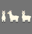 white llama cute llama clipart cute alpaca vector image vector image