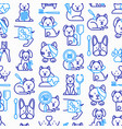 veterinary clinic seamless pattern vector image