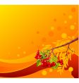 mountain ash branch background vector image vector image