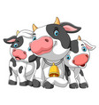 cute cartoon family cow vector image
