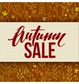 autumn seasonal banner design fall leaf vector image vector image