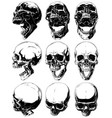 set of realistic graphic human skulls vector image vector image