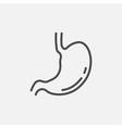 stomach icon isolated on white background vector image