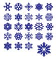 snowflakes collection vector image