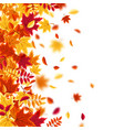 autumn falling leaves nature background with red vector image vector image
