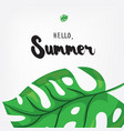 hello summer holiday greeting card with monstera vector image vector image