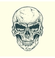 skull of human vector image vector image