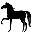 horse silhouette vector image