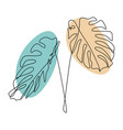 exotic monstera continuous one line drawing vector image