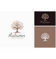 fall autumn colors tree branches leaves logo vector image