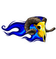 goat head skull with flames vector image vector image