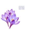 dotted watercolor purple flowers vector image