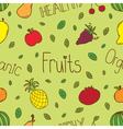 doodle fruits seamless vector image