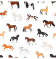 horse breeding flat seamless pattern vector image