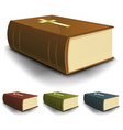 big old holy bible books set vector image
