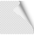 sheet of transparent paper with curled corner vector image