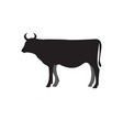 cow silhouette icon design template isolated vector image vector image