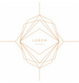 abstract element with gold lines vector image