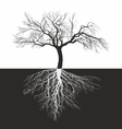 apple tree without leaves with roots vector image vector image