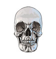 human skull from a splash watercolor colored vector image vector image